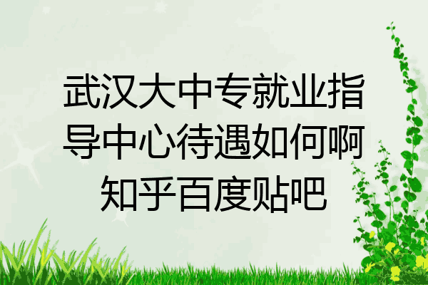 武汉大中专就业指导中心待遇如何啊知乎百度贴吧