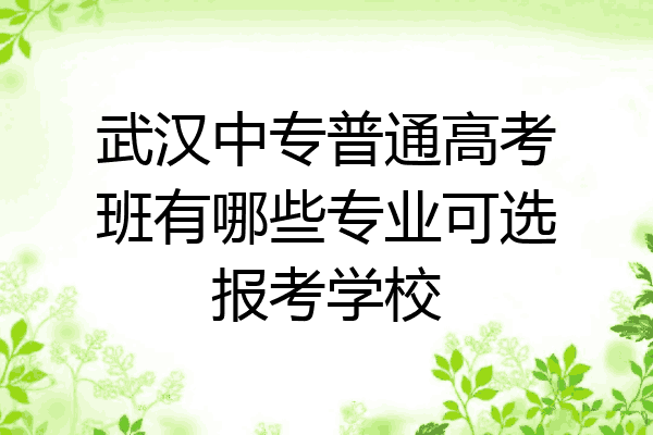 武汉中专普通高考班有哪些专业可选报考学校