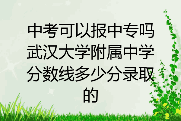 中考可以报中专吗武汉大学附属中学分数线多少分录取的