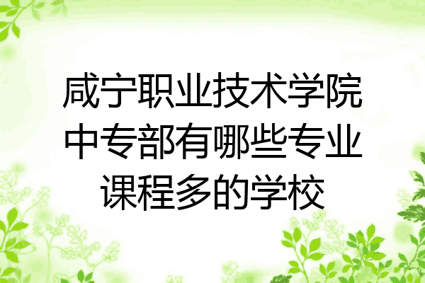 咸宁职业技术学院中专部有哪些专业课程多的学校