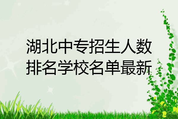 湖北中专招生人数排名学校名单最新