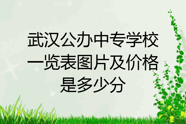 武汉公办中专学校一览表图片及价格是多少分