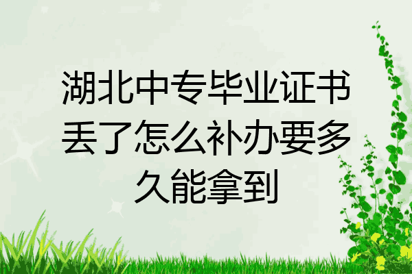 湖北中专毕业证书丢了怎么补办要多久能拿到