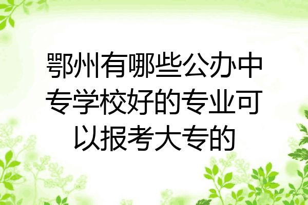 鄂州有哪些公办中专学校好的专业可以报考大专的