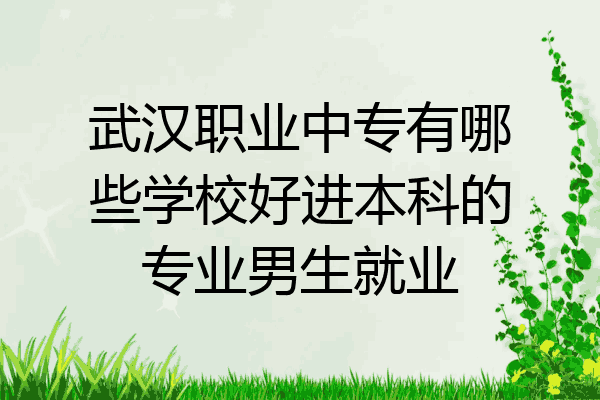 武汉职业中专有哪些学校好进本科的专业男生就业