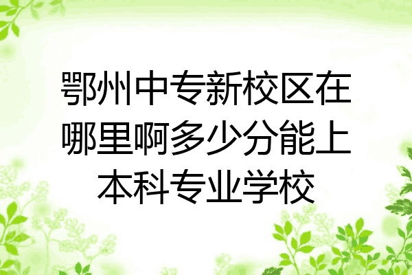 鄂州中专新校区在哪里啊多少分能上本科专业学校