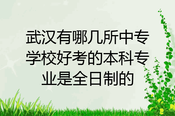 武汉有哪几所中专学校好考的本科专业是全日制的