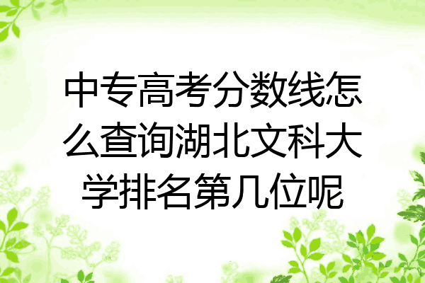 中专高考分数线怎么查询湖北文科大学排名第几位呢