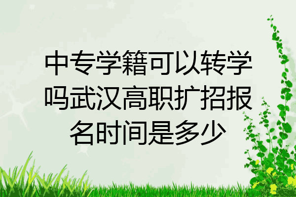 中专学籍可以转学吗武汉高职扩招报名时间是多少