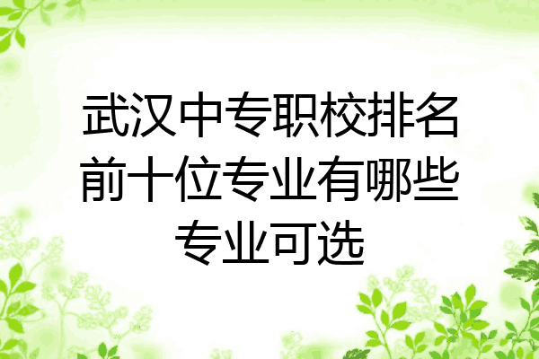 武汉中专职校排名前十位专业有哪些专业可选