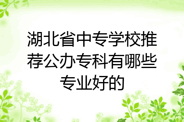 湖北省中专学校推荐公办专科有哪些专业好的