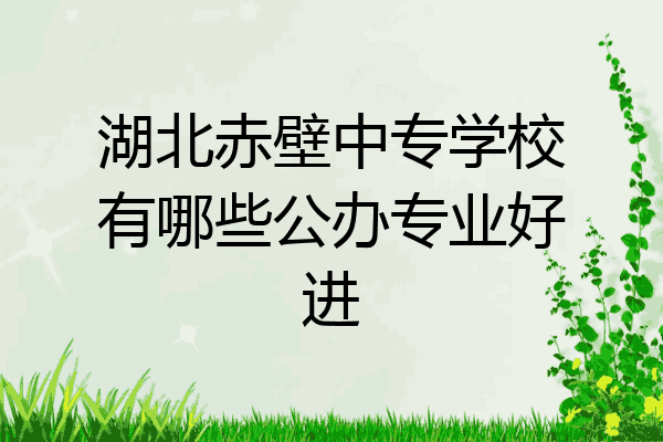 湖北赤壁中专学校有哪些公办专业好进