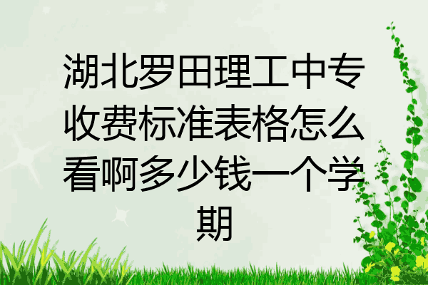 湖北罗田理工中专收费标准表格怎么看啊多少钱一个学期