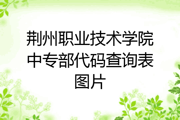 荆州职业技术学院中专部代码查询表图片