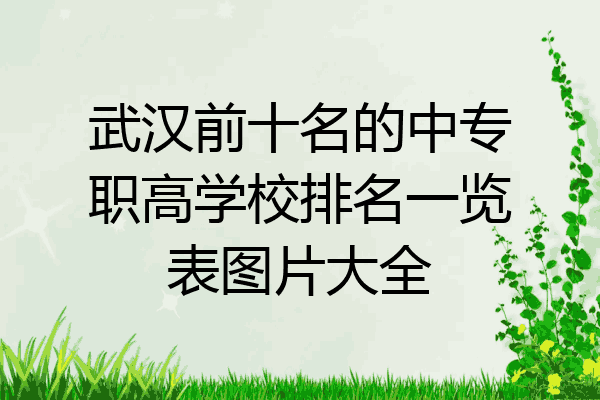 武汉前十名的中专职高学校排名一览表图片大全