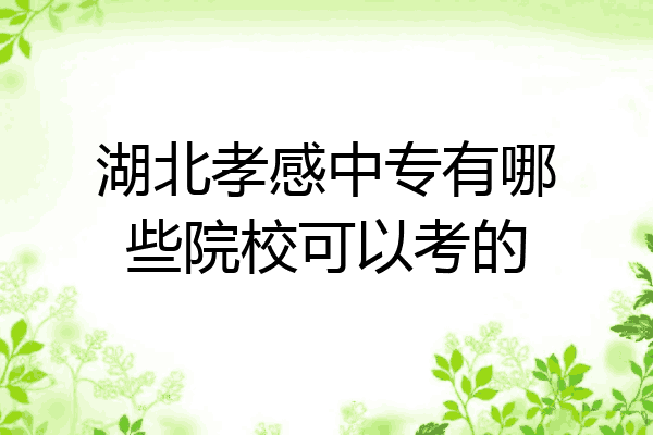 湖北孝感中专有哪些院校可以考的