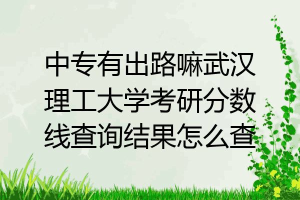 中专有出路嘛武汉理工大学考研分数线查询结果怎么查