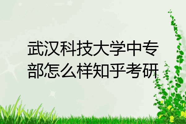 武汉科技大学中专部怎么样知乎考研