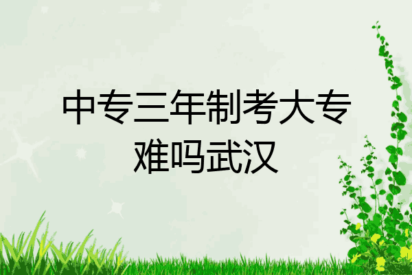 中专三年制考大专难吗武汉