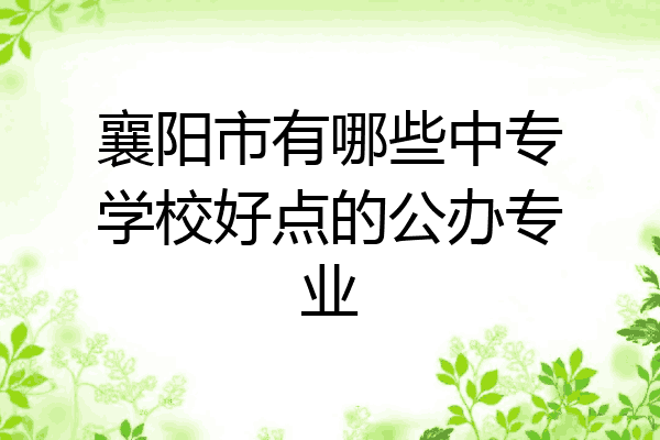 襄阳市有哪些中专学校好点的公办专业