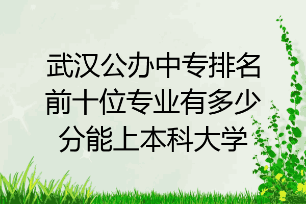 武汉公办中专排名前十位专业有多少分能上本科大学