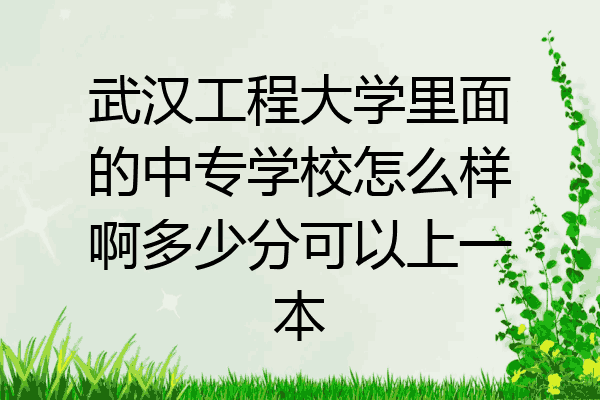 武汉工程大学里面的中专学校怎么样啊多少分可以上一本