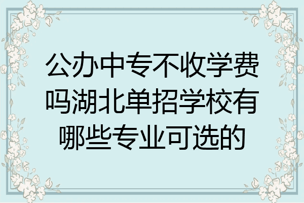 公办中专不收学费吗湖北单招学校有哪些专业可选的