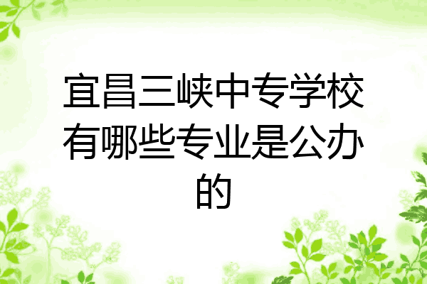 宜昌三峡中专学校有哪些专业是公办的