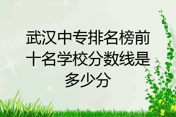 武汉中专排名榜前十名学校分数线是多少分