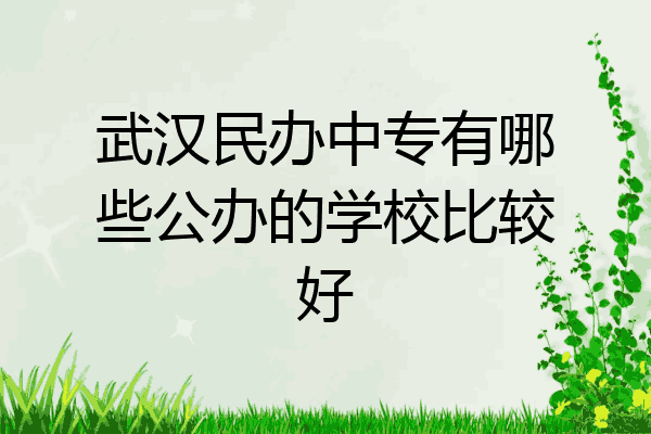 武汉民办中专有哪些公办的学校比较好