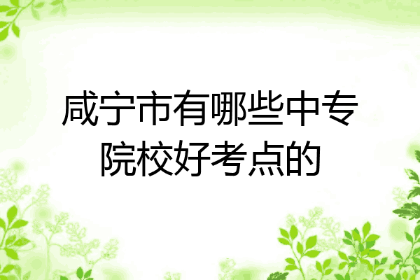 咸宁市有哪些中专院校好考点的