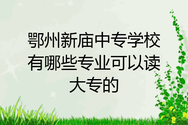 鄂州新庙中专学校有哪些专业可以读大专的