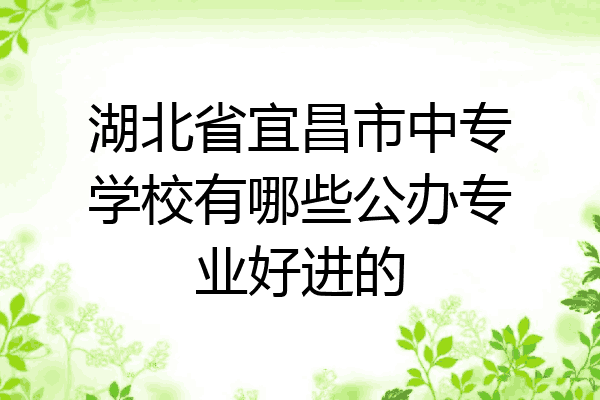 湖北省宜昌市中专学校有哪些公办专业好进的