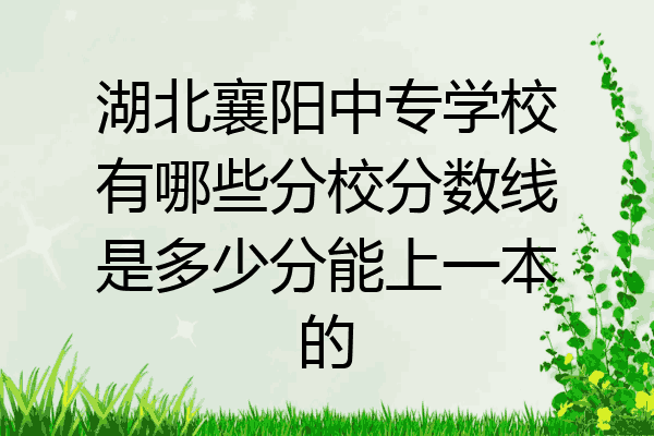 湖北襄阳中专学校有哪些分校分数线是多少分能上一本的