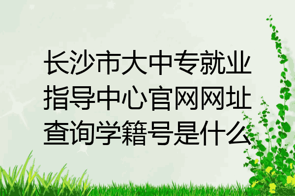 长沙市大中专就业指导中心官网网址查询学籍号是什么