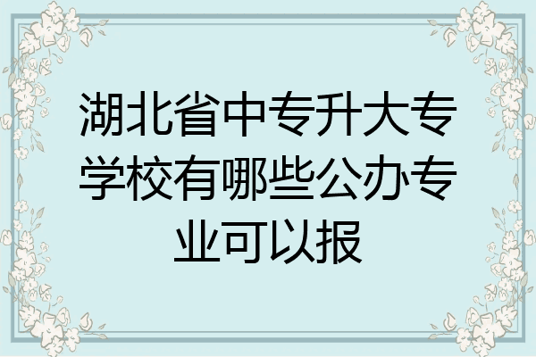 湖北省中专升大专学校有哪些公办专业可以报