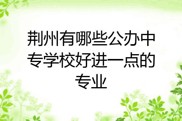 荆州有哪些公办中专学校好进一点的专业