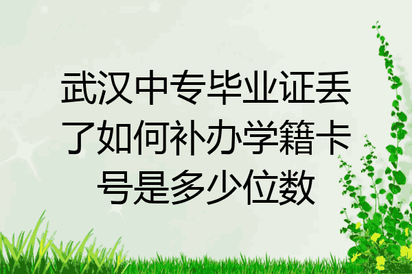 武汉中专毕业证丢了如何补办学籍卡号是多少位数