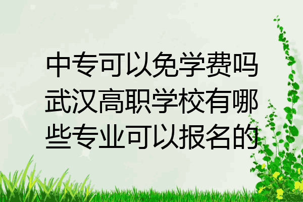 中专可以免学费吗武汉高职学校有哪些专业可以报名的