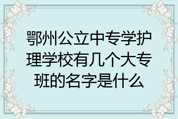 鄂州公立中专学护理学校有几个大专班的名字是什么