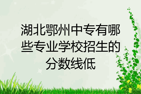 湖北鄂州中专有哪些专业学校招生的分数线低