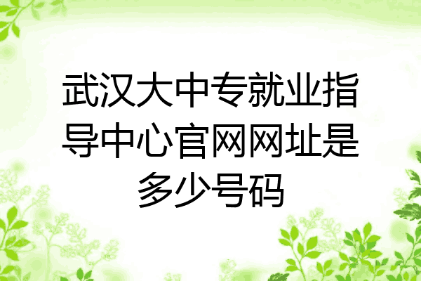 武汉大中专就业指导中心官网网址是多少号码