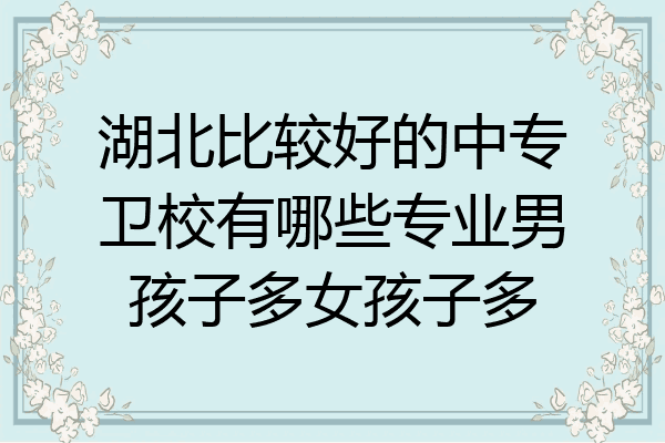 湖北比较好的中专卫校有哪些专业男孩子多女孩子多