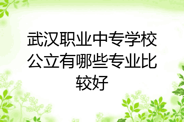 武汉职业中专学校公立有哪些专业比较好