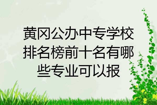 黄冈公办中专学校排名榜前十名有哪些专业可以报