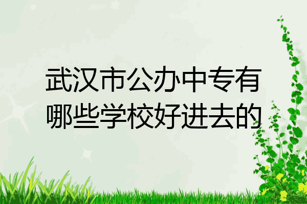 武汉市公办中专有哪些学校好进去的