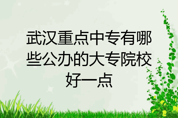 武汉重点中专有哪些公办的大专院校好一点