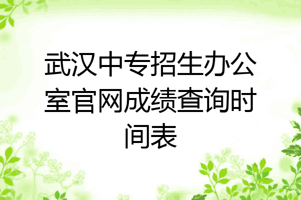 武汉中专招生办公室官网成绩查询时间表