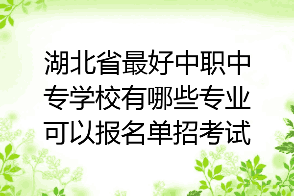 湖北省最好中职中专学校有哪些专业可以报名单招考试