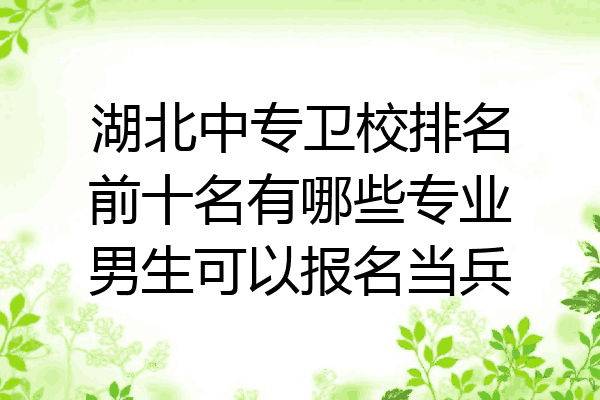 湖北中专卫校排名前十名有哪些专业男生可以报名当兵